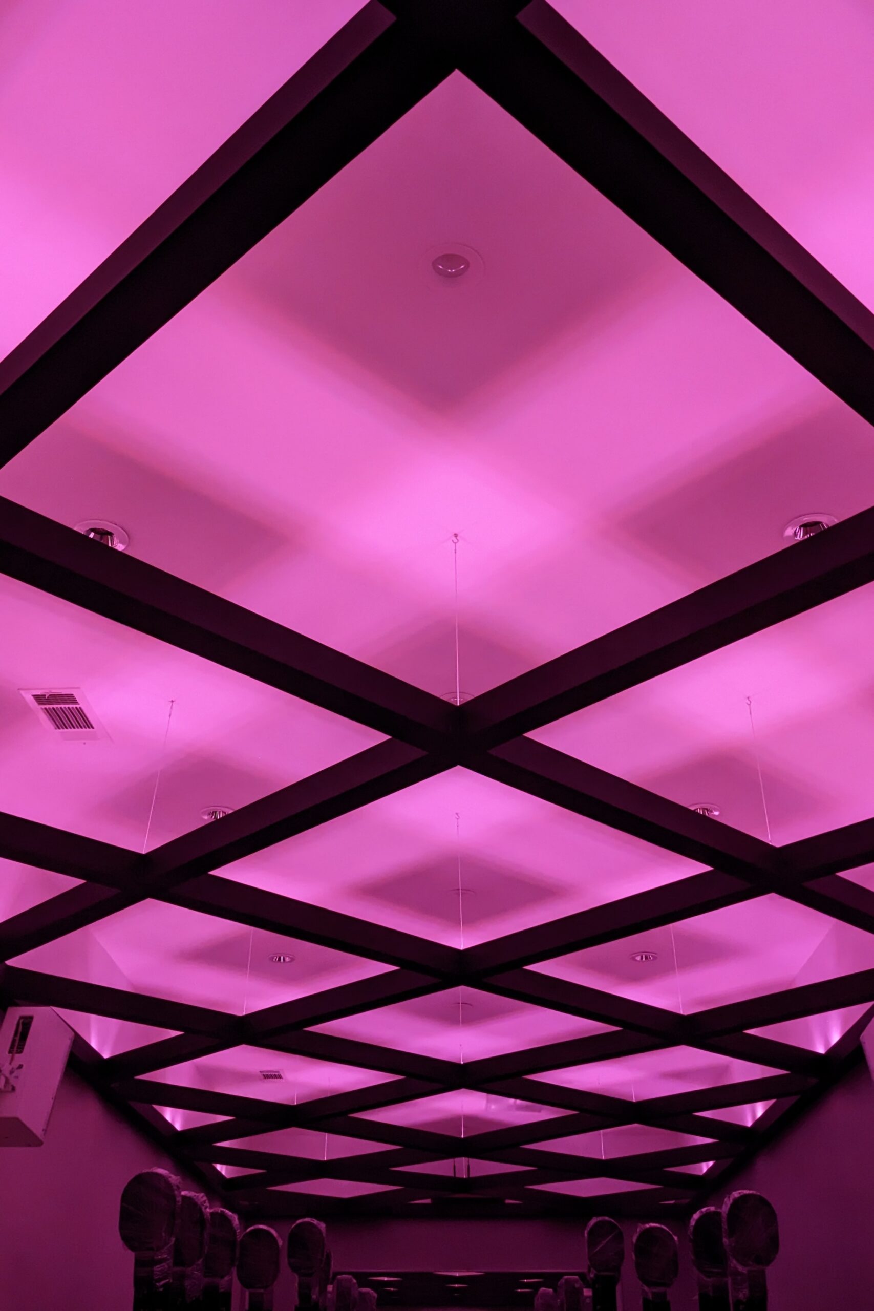 Magenta Light